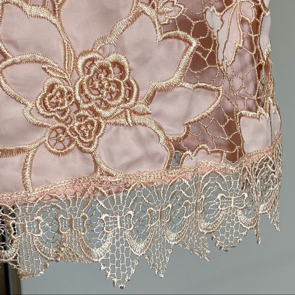 Lovers + Friends Dress Caspian Blush Lace Shift Dress, L - Picture 5 of 13